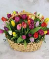 Тюльпаны МИКС в корзине