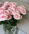 Кустовые розы Star Blush (10 веток)
