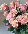 Пудровые розы Premium 60 см — 25 шт.