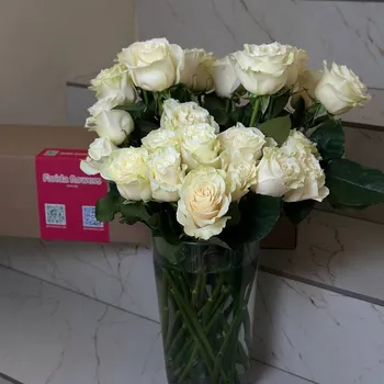 Розы Mondial белые 60 см (банч) — 25 шт.