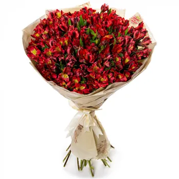 Букет из 35 розовых альстромерий