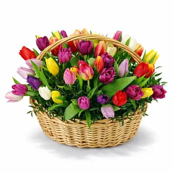 Тюльпаны МИКС в корзине