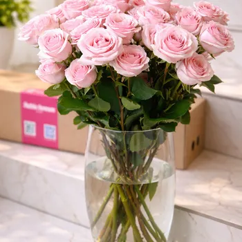 Кустовые розы Star Blush (10 веток)