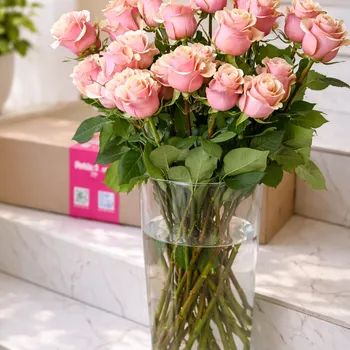 Пудровые розы Premium 60 см — 25 шт.