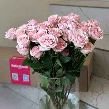 Кустовые розы Star Blush (10 веток)