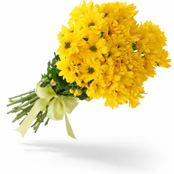 Букет из семи хризантем в ленту