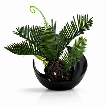 Сувенир «Живая геометрия»