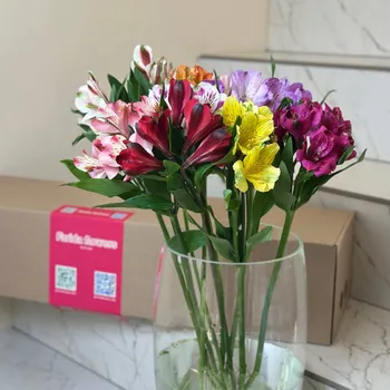 Альстромерия микс (банч) — 10 веток