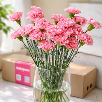 Яркий розовый диантус (Банч) - 20 шт.