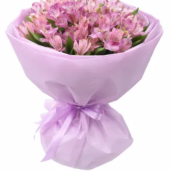 Нежность альстромерии