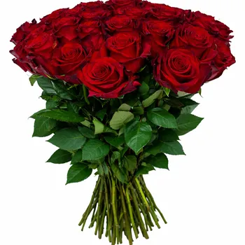 25 роз с красной лентой