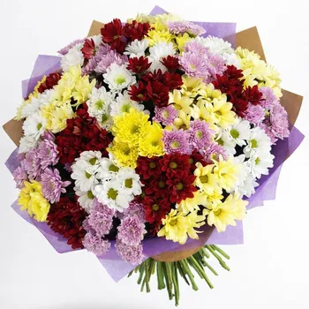 Огромный букет из 27 хризантемы