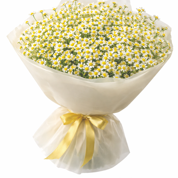 Букет «Лето между нами»