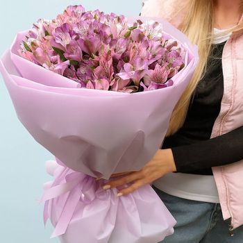 Нежность альстромерии