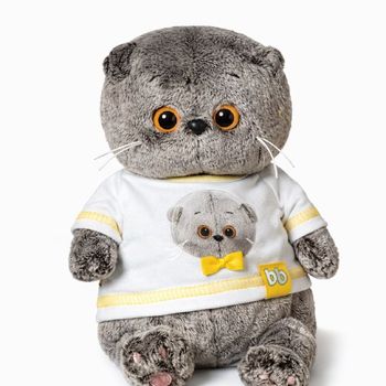 Кот Басик Бантик