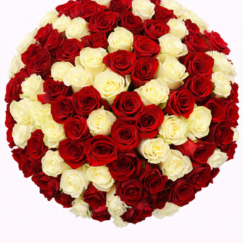 БУКЕТ ИЗ 101 КРАСНОЙ И БЕЛОЙ РОЗЫ