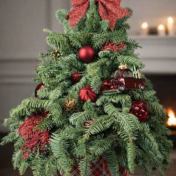 «Рождественская классика»