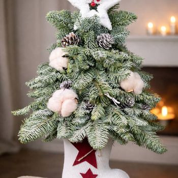 Снежная сказка