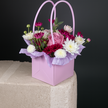 Композиция «Малышка Loly»