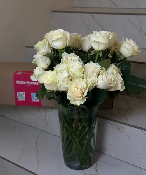 Розы Mondial белые 60 см (банч) — 25 шт.