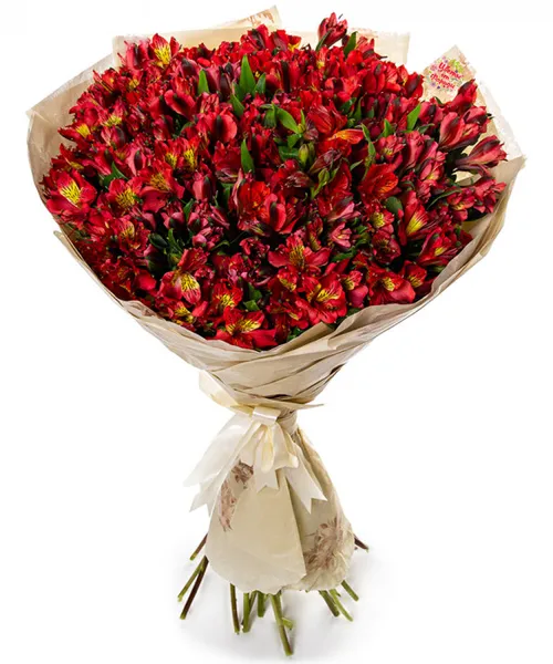 Букет из 35 розовых альстромерий