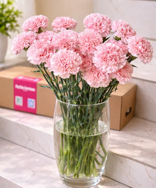 Диантус пудровый (банч) — 10 шт.