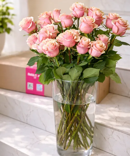 Пудровые розы Premium 60 см — 25 шт.