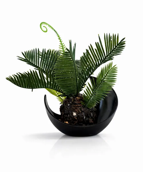 Сувенир «Живая геометрия»