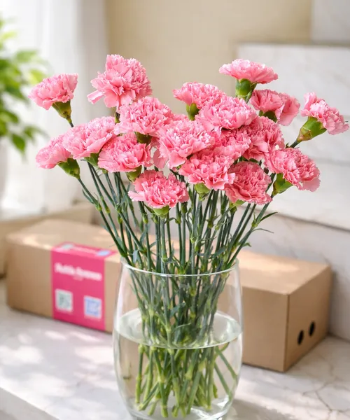 Яркий розовый диантус (Банч) - 20 шт.