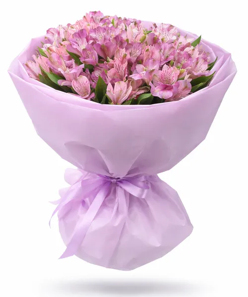 Нежность альстромерии