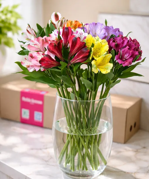 Альстромерия микс (банч) — 10 веток