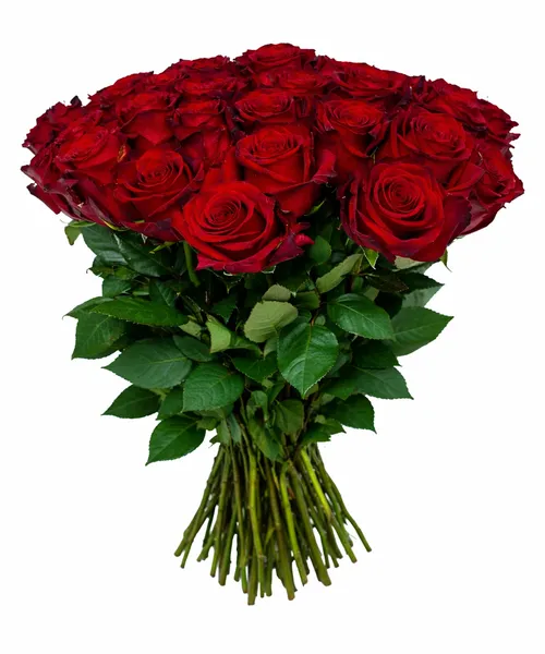 25 роз с красной лентой