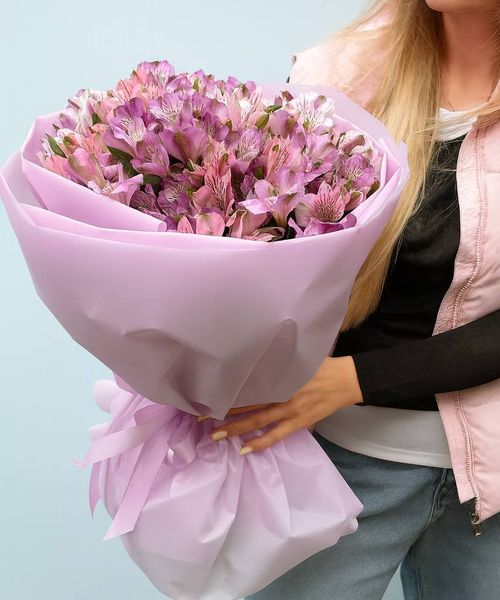 Нежность альстромерии