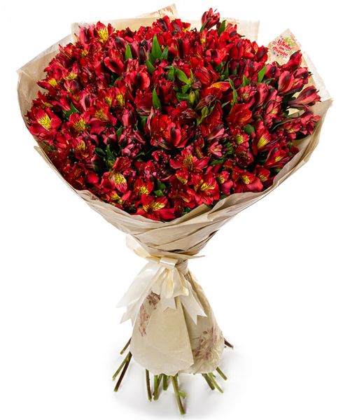 Букет из 35 розовых альстромерий