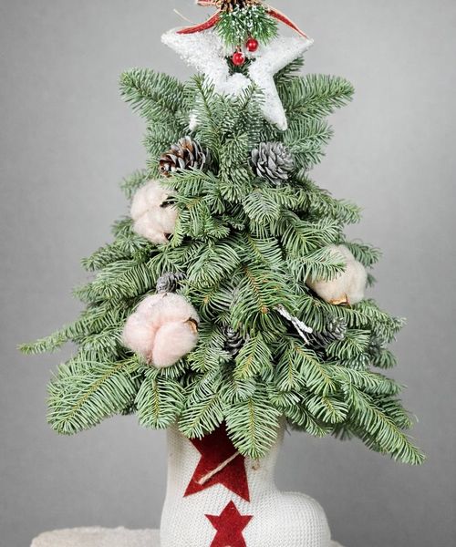 Снежная сказка