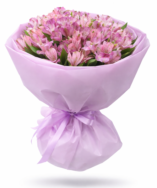 Нежность альстромерии