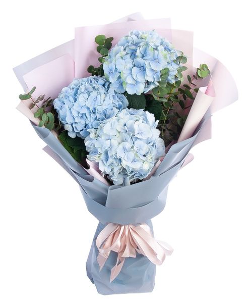 Букет "Нежная Гортензия"