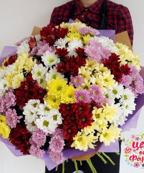 Огромный букет из 27 хризантемы