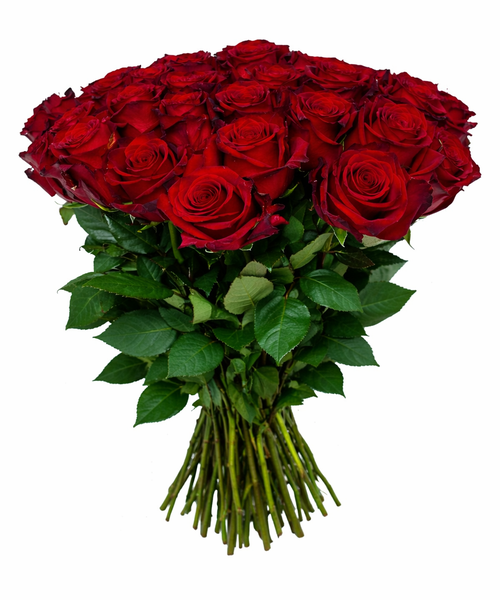 25 роз с красной лентой