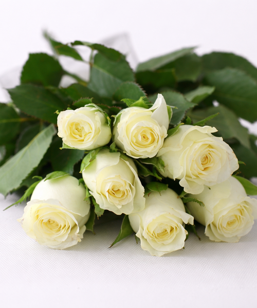 Букет белых роз